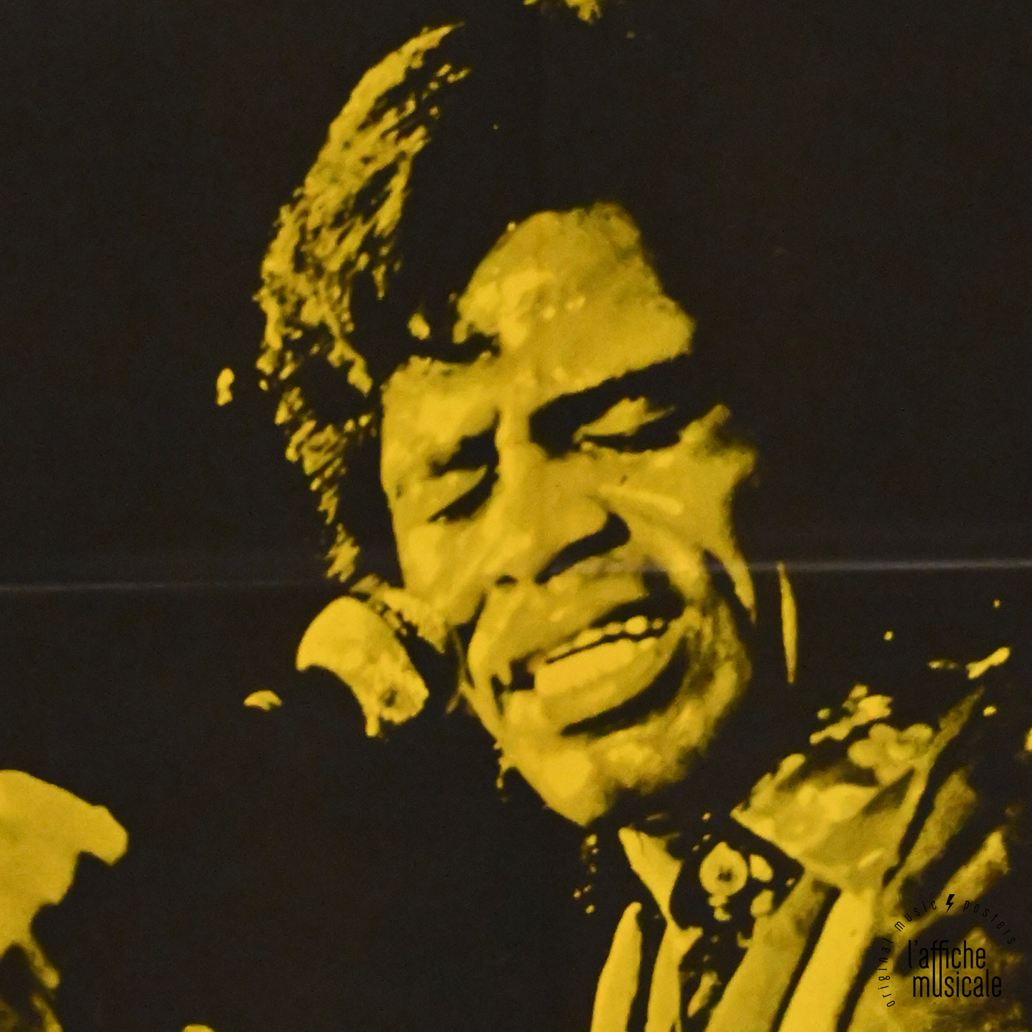 James Brown - Zénith - 1987