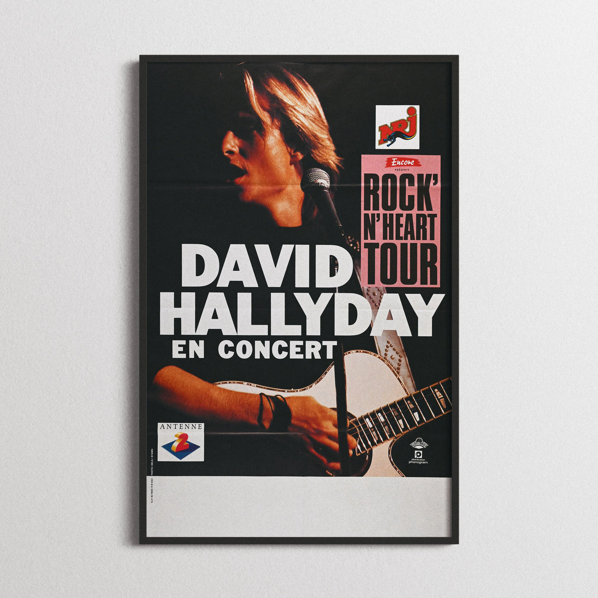 David Hallyday - "Rock’n’Heart Tour" - Zenith - 1991
