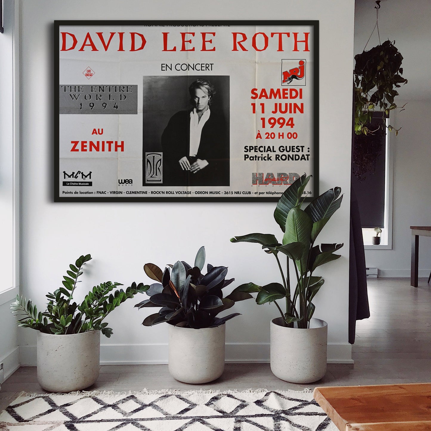 David Lee Roth - The Entire World 1994 - 1994