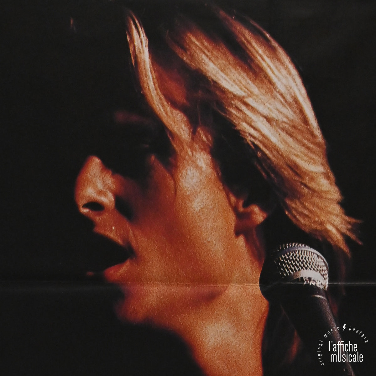 David Hallyday - "Rock’n’Heart Tour" - Zenith - 1991